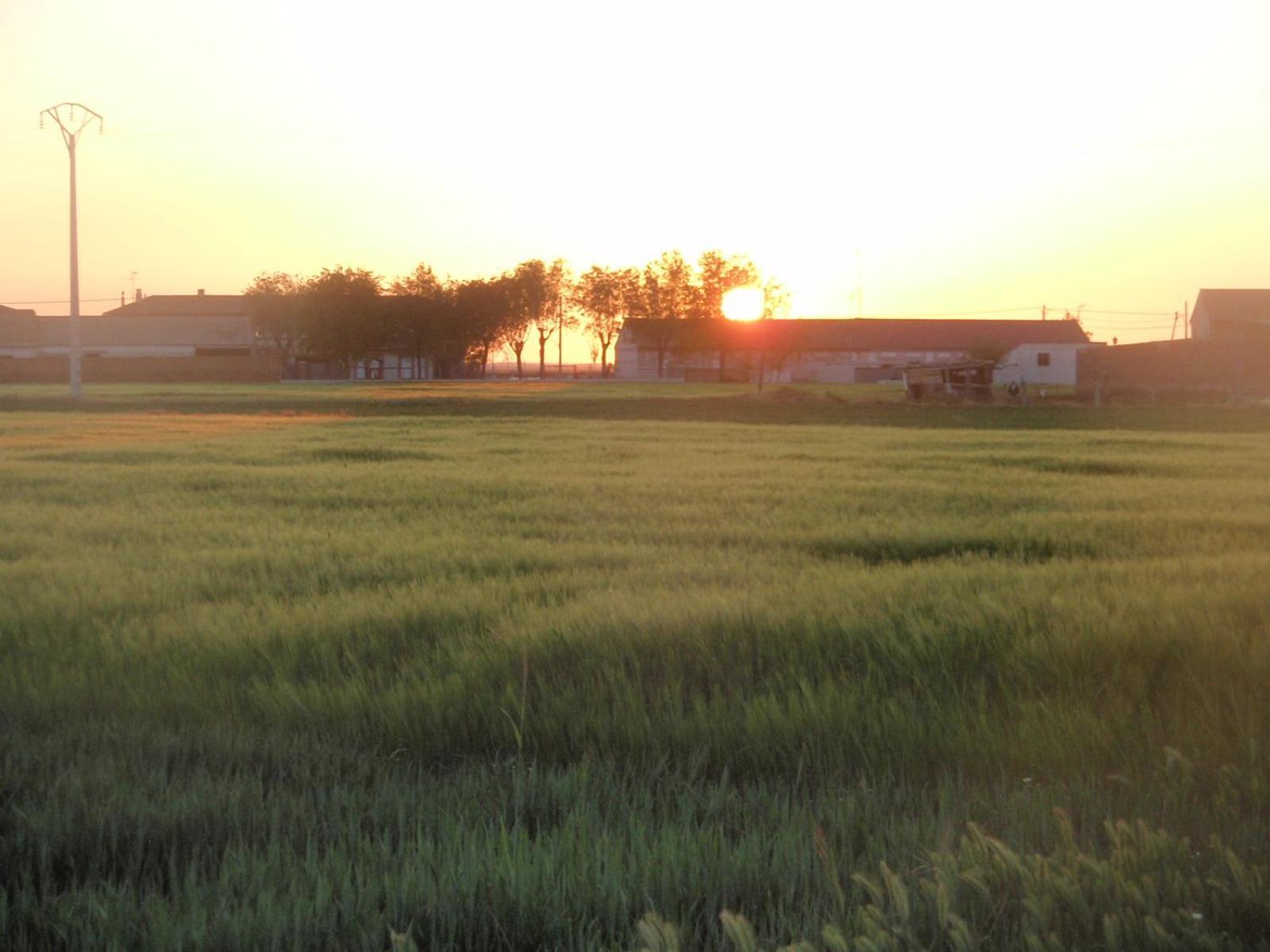 Casa Rural La Sastreria De Adanero エクステリア 写真